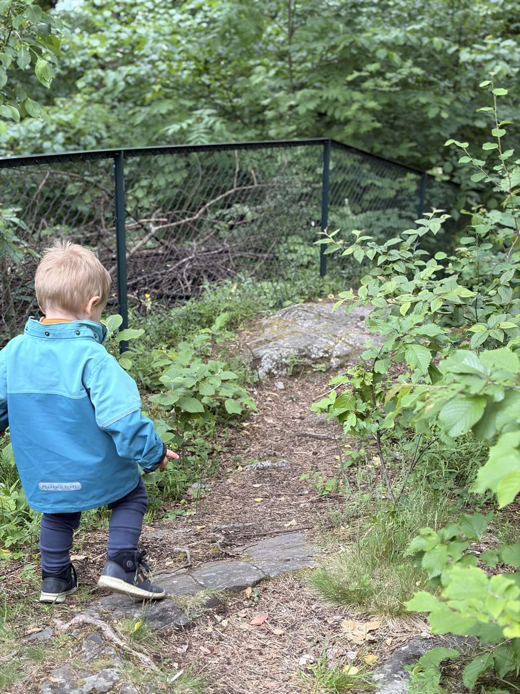 Stien inn gjennom skogen